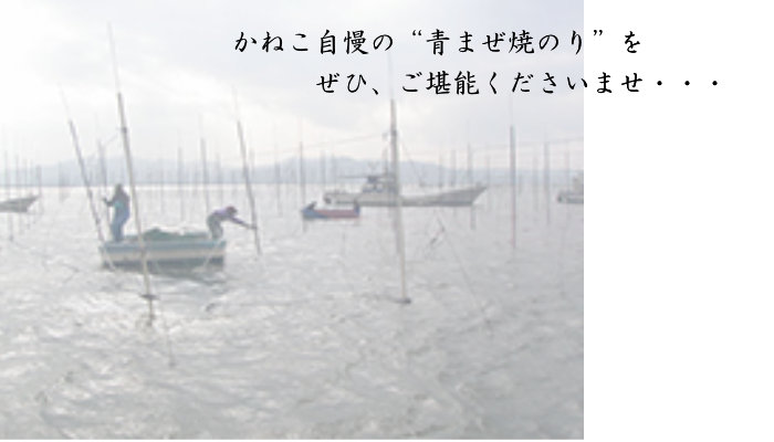 全形焼のり(特選・青まぜ)イメージ3 全形焼のり(特選・青まぜ)イメージ3